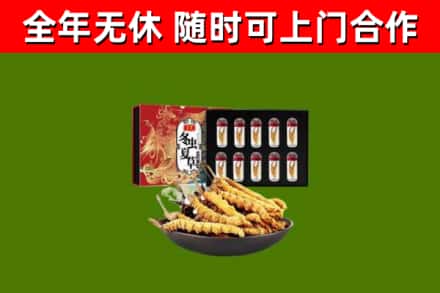 滑市烟酒回收冬虫夏草礼盒.jpg
